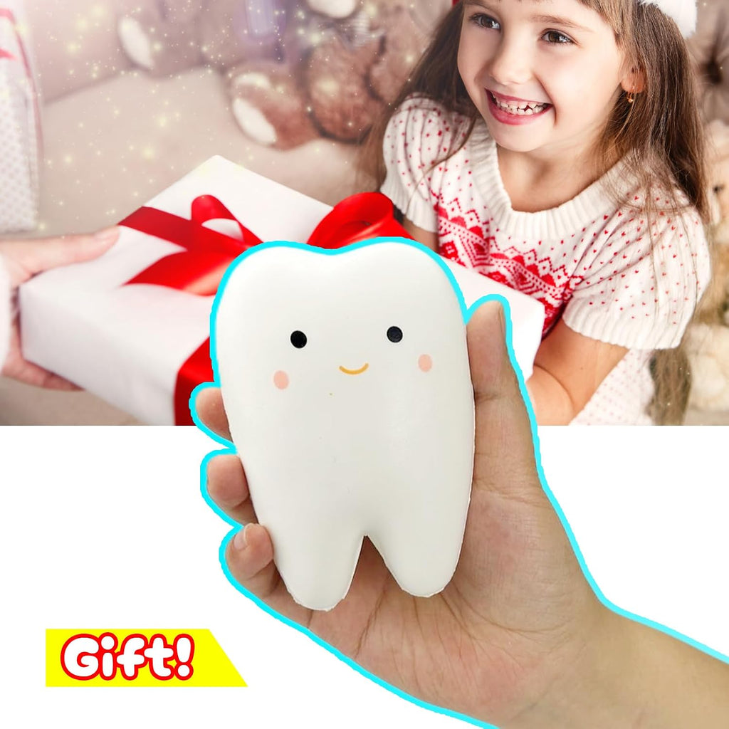 Tooth Squishies Squeeze Toy for Dental School Gifts - Fun and Effective Dental Toys & Gifts(1 Pc)