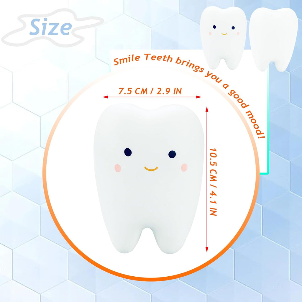 Tooth Squishies Squeeze Toy for Dental School Gifts - Fun and Effective Dental Toys & Gifts(1 Pc)