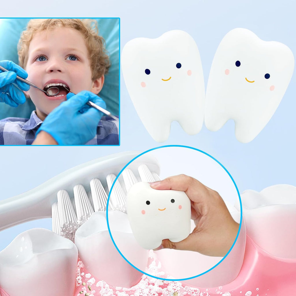 Tooth Squishies Squeeze Toy for Dental School Gifts - Fun and Effective Dental Toys & Gifts(1 Pc)