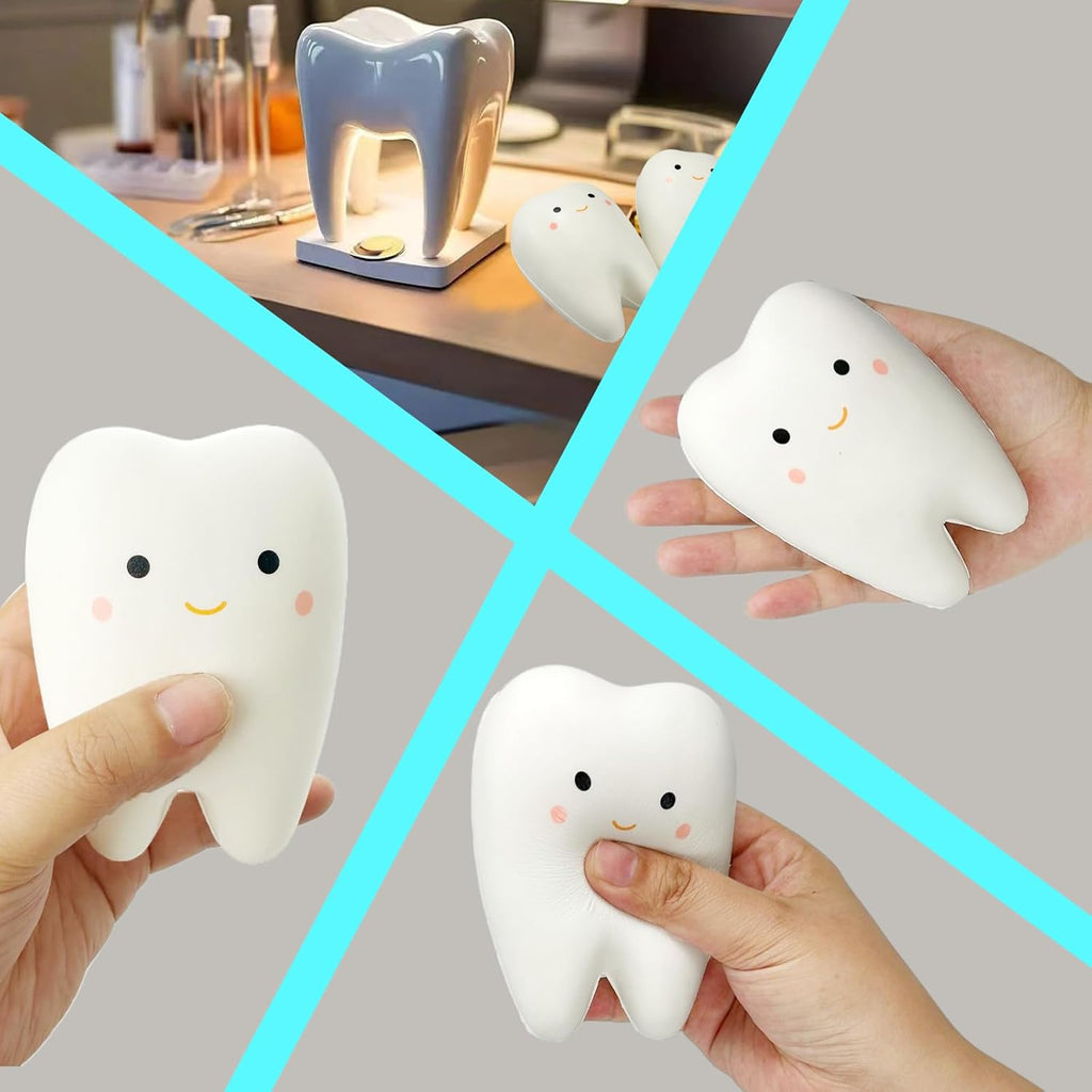 Tooth Squishies Squeeze Toy for Dental School Gifts - Fun and Effective Dental Toys & Gifts(1 Pc)